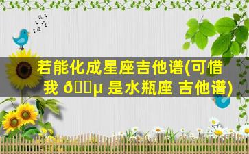 若能化成星座吉他谱(可惜我 🌵 是水瓶座 吉他谱)